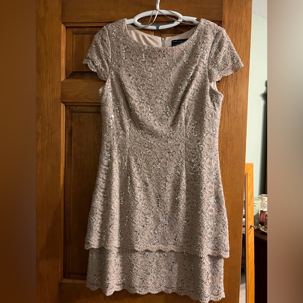Gorgeous Alex Evenings Petite Size 14 Dress